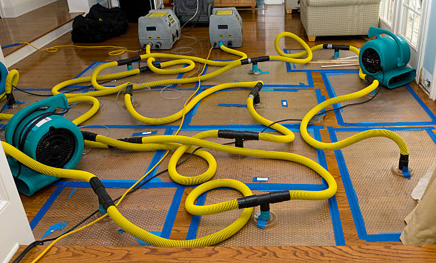 Professional Structural Drying And Dehumidification technician working in Somerset, WI